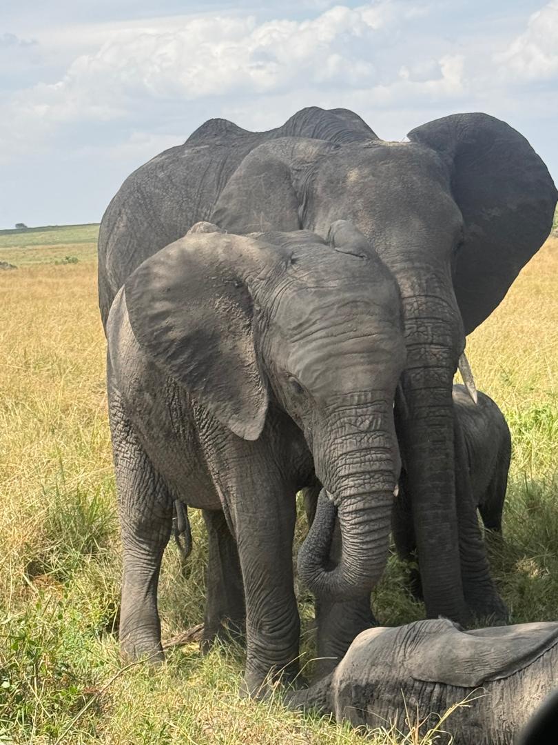 Ngorongoro Crater